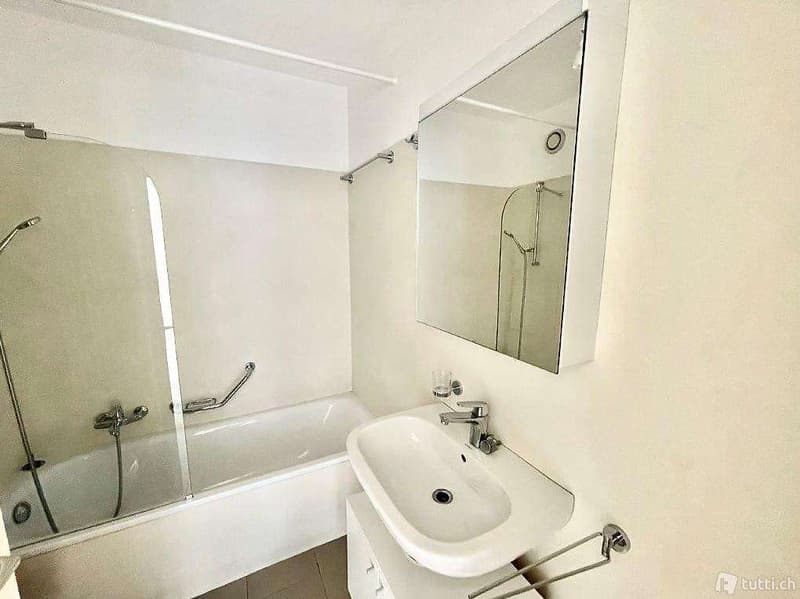 APPARTEMENTS 3,5 PIÈCES RÉNOVÉS (9)