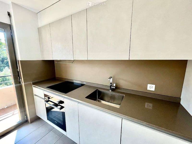 APPARTEMENTS 3,5 PIÈCES RÉNOVÉS (4)