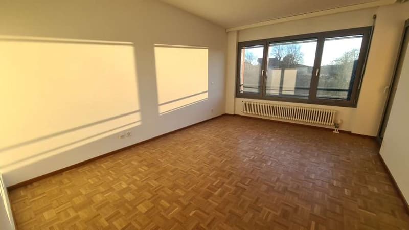 APPARTEMENTS 3,5 PIÈCES RÉNOVÉS (5)