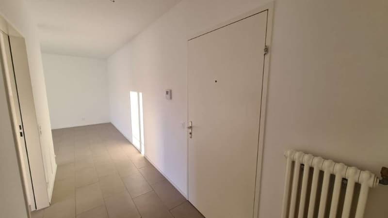 APPARTEMENTS 3,5 PIÈCES RÉNOVÉS (8)