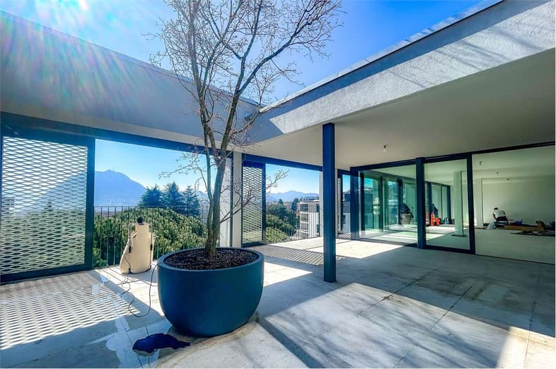 Attic in strategic area with open view (2)
