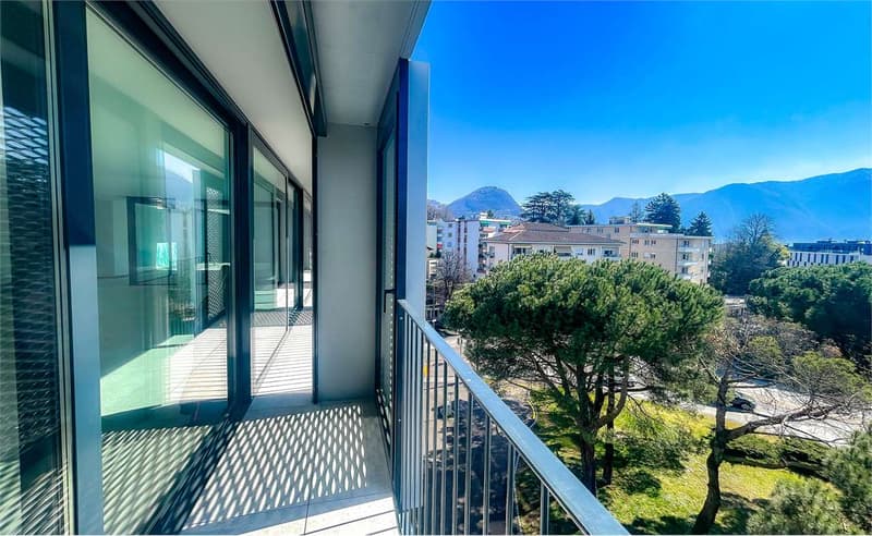 Attic in strategic area with open view (5)