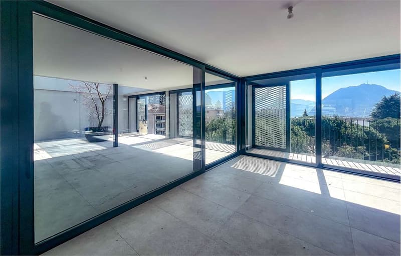 Attic in strategic area with open view (4)