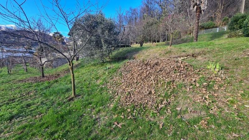 Curio: terrain constructible en zone panoramique (3)