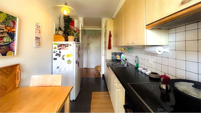 LUMINEUX 4,5 PIÈCES AVEC GRAND BALCON ET VUE DÉGAGÉE (4)
