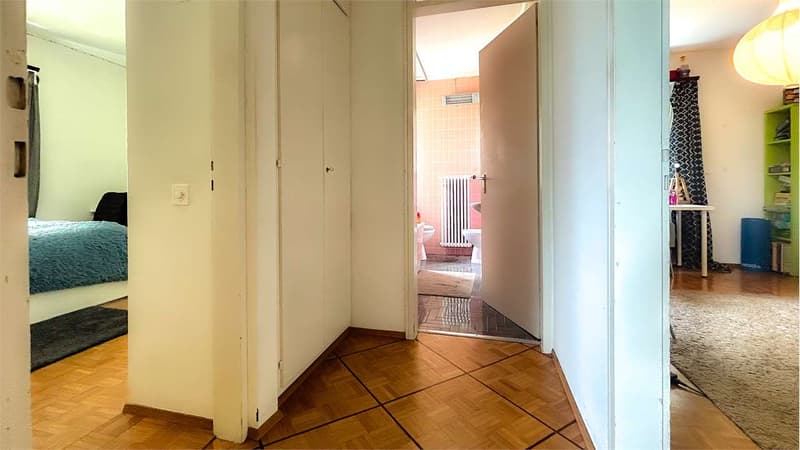 LUMINEUX 4,5 PIÈCES AVEC GRAND BALCON ET VUE DÉGAGÉE (6)