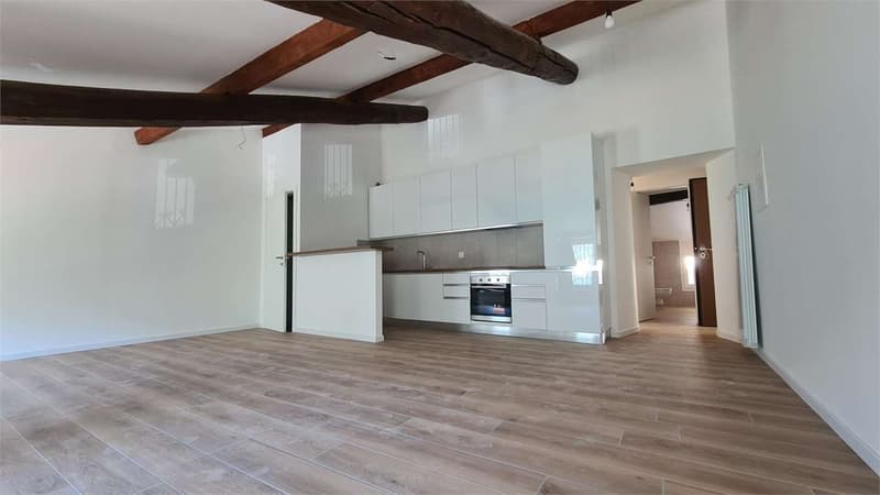 MENDRISIO CAPOLAGO: 3.5 LOC. VISTA LAGO - secondario (3)