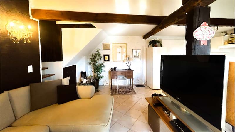 MAISON CARACTÉRISTIQUE AVEC PISCINE ET JARDIN (11)