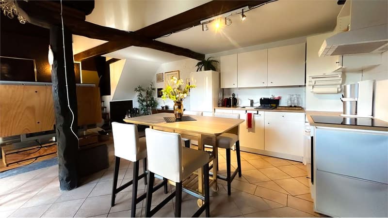 MAISON CARACTÉRISTIQUE AVEC PISCINE ET JARDIN (12)