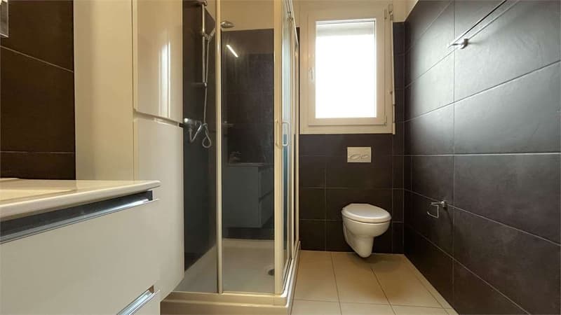 Wohnung 2,5 mit Garten (6)