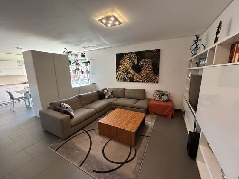 LUGANO: MODERN 4.5 ROOM APARTMENT WITH SPACIOUS TERRACE (8)