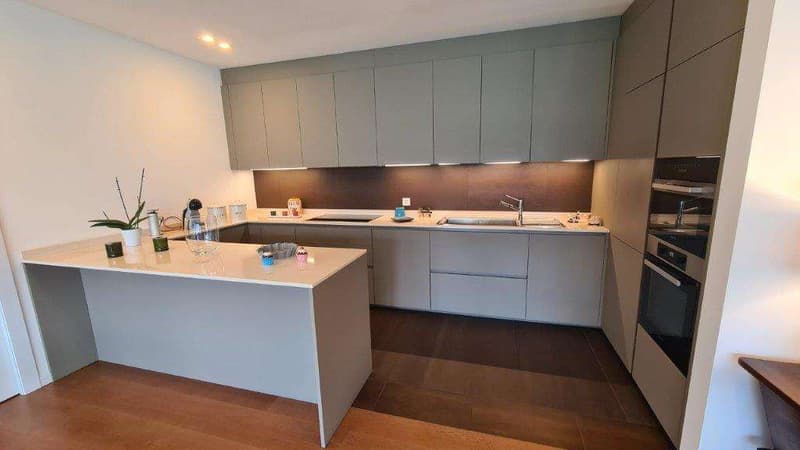 BISSONE: PRESTIGIOUS 4.5 ROOM APARTMENT WITH LAKE VIEW AND GARDEN (8)