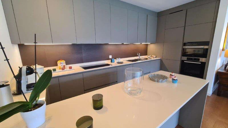 BISSONE: PRESTIGIOUS 4.5 ROOM APARTMENT WITH LAKE VIEW AND GARDEN (7)