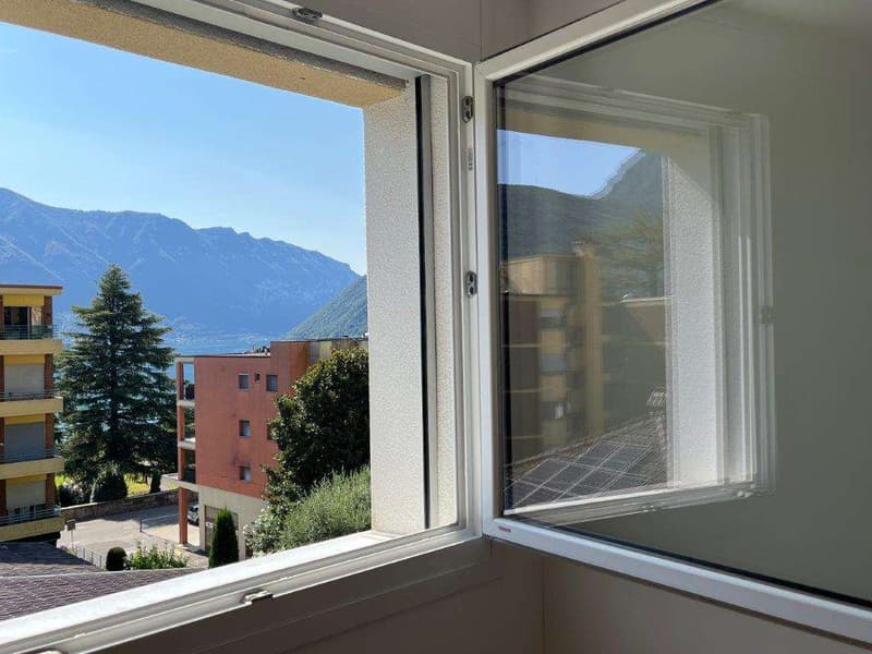 Melide: 4,5 loc. con vista lago e terrazza sul tetto (2)