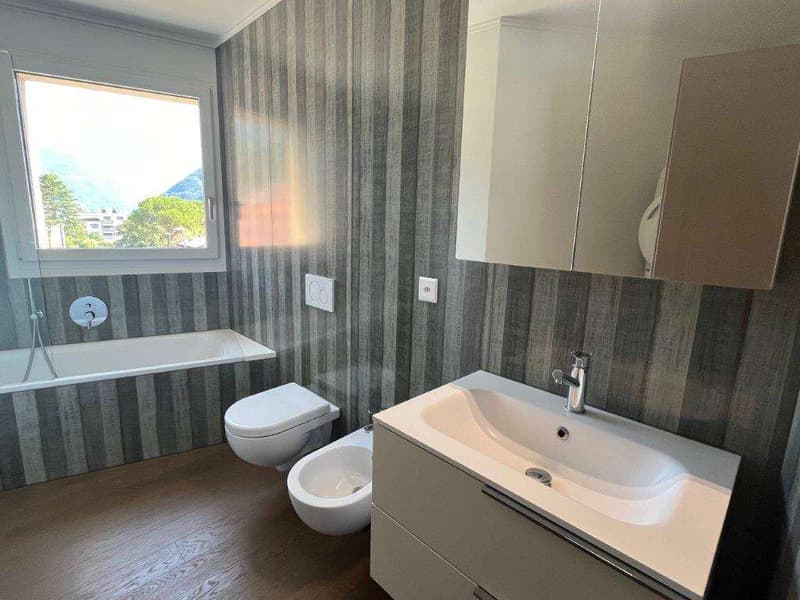 Melide: 4,5 loc. con vista lago e terrazza sul tetto (3)