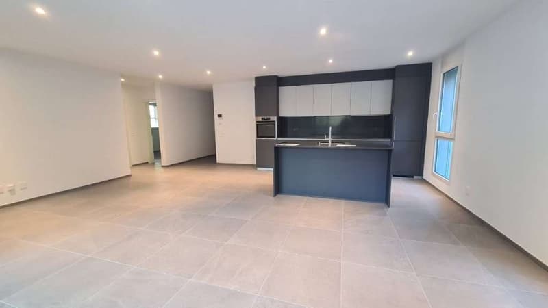 BELLINZONA - LUMINO: NEUES 3.5-ZIMMER-WOHNUNG MIT GROßER TERRASSE (6)