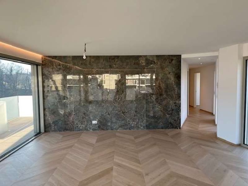 Massagno: attic apartment with roof terrace and open view (4)