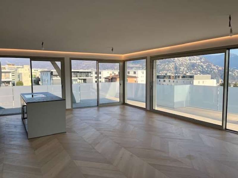 Massagno: attic apartment with roof terrace and open view (2)