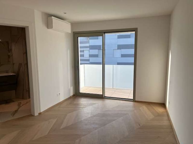 Massagno: attic apartment with roof terrace and open view (6)