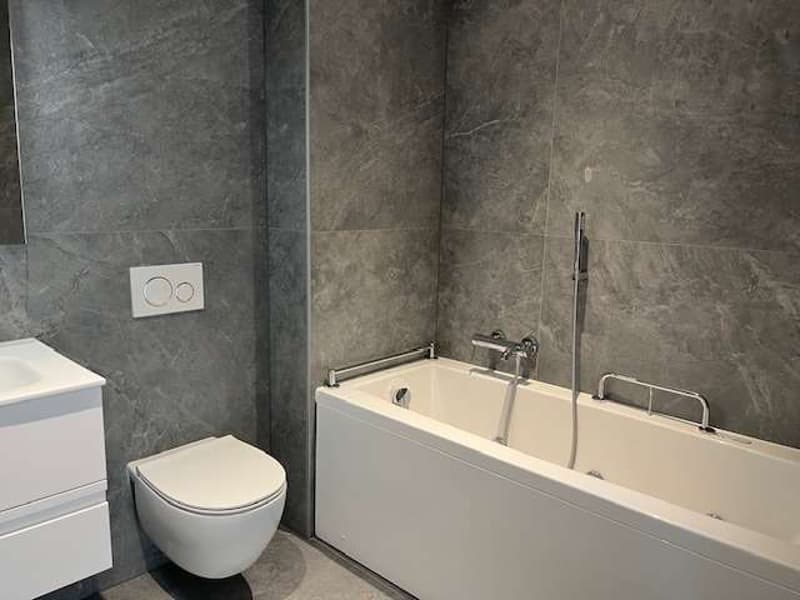 Massagno: attic apartment with roof terrace and open view (5)