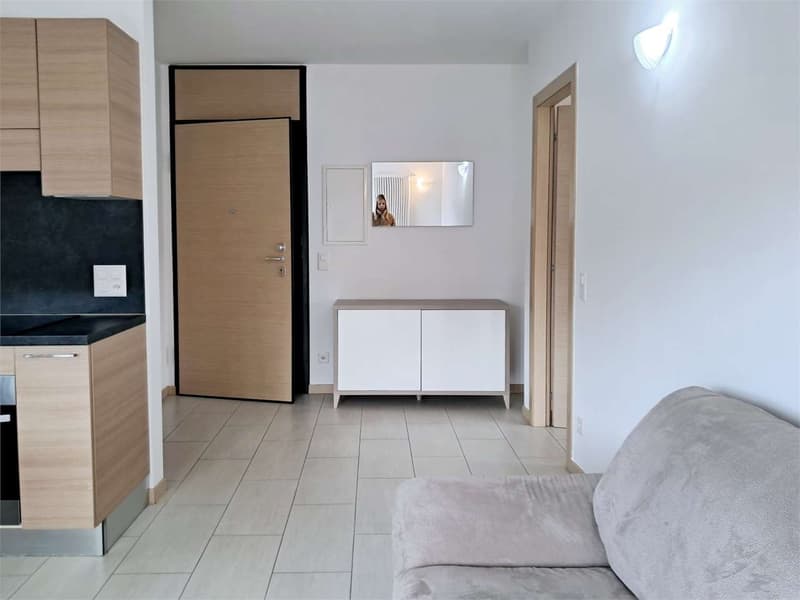 Paradise: renovated attic with open view (10)