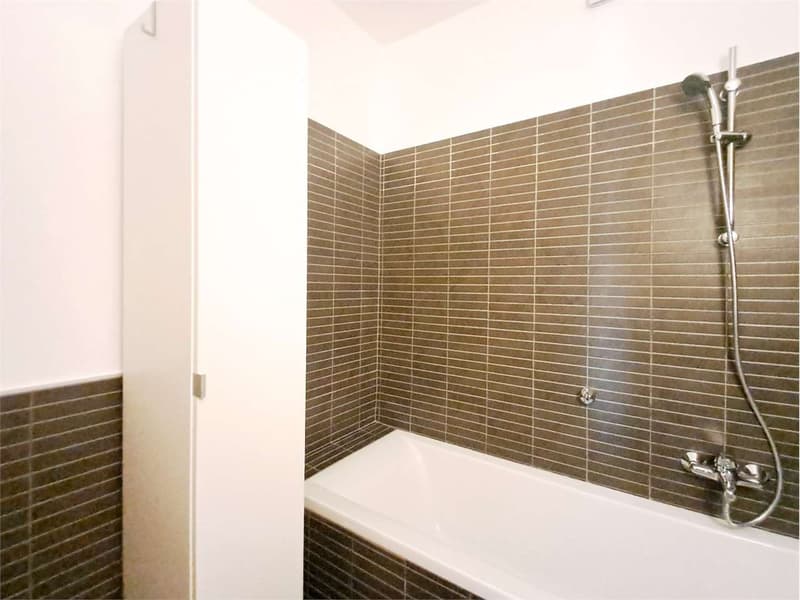 Paradise: renovated attic with open view (7)