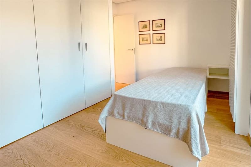 Paradis: 3,5 pièces face au lac (10)