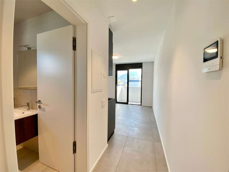 Breganzona: last furnished studio apartment on the ground floor (3)