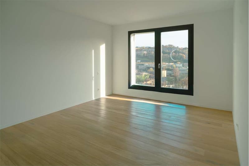 Appartement exclusif 4.5 pièces de haut standing à Vacallo (10)