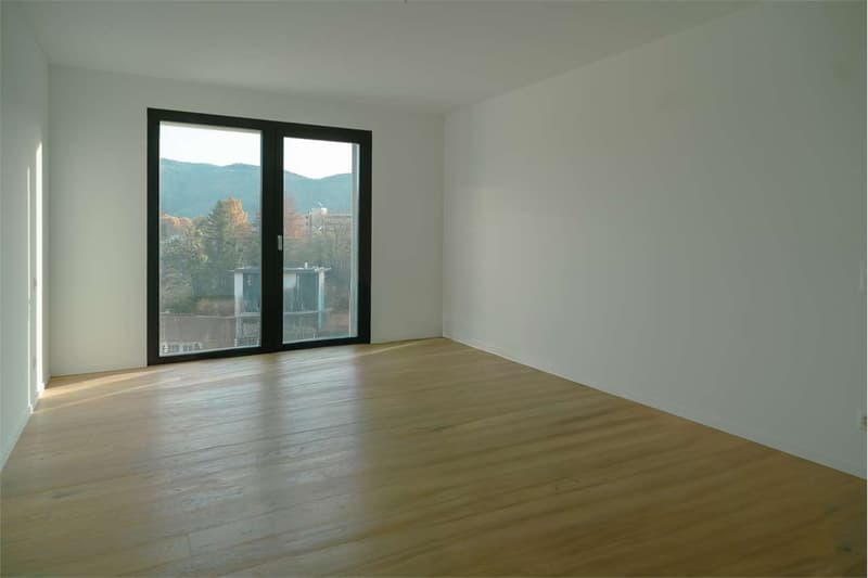 Appartement exclusif 4.5 pièces de haut standing à Vacallo (11)