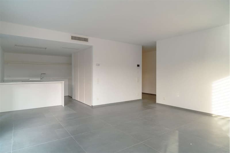 Vacallo: großes 2.5-Zimmer-Wohnung mit breiter Terrasse (6)