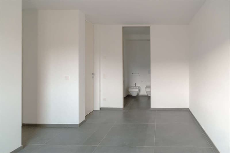 Vacallo: großes 2.5-Zimmer-Wohnung mit breiter Terrasse (12)