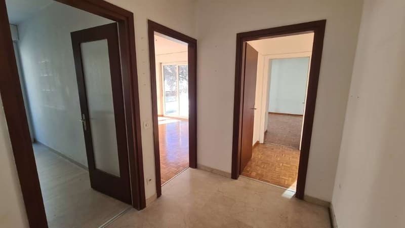 LUGANO: BRIGHT 4.5 ROOM APARTMENT IN THE CITY CENTER TO RENOVATE (8)