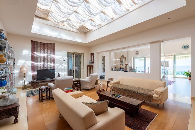 large living room, wooden floor, white walls, glass doors, glass windows, glass ceiling, sofa, coffee table, TV, lamp, shelves, rug, decorative items