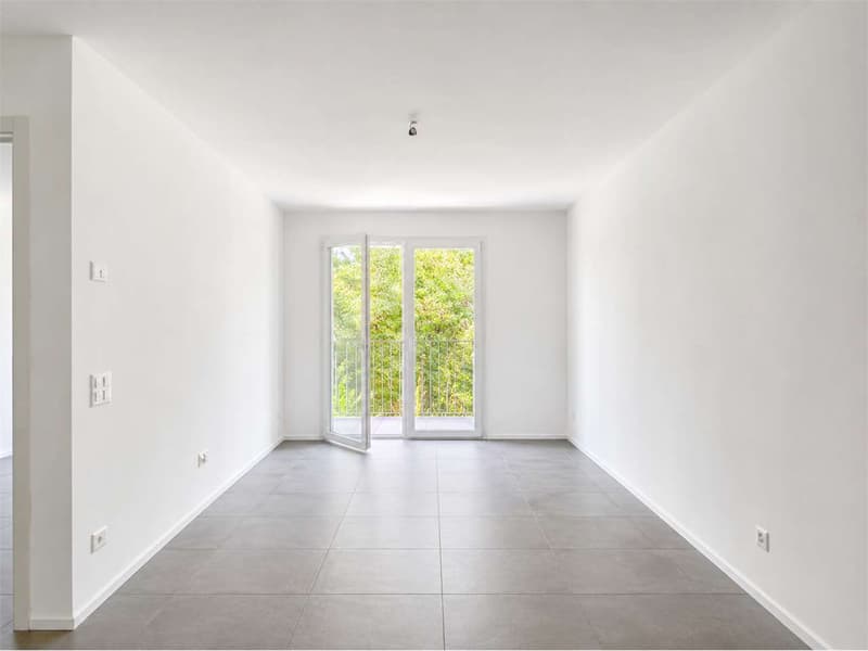 Vacallo: elegant 2.5-room modern apartment with terrace (3)