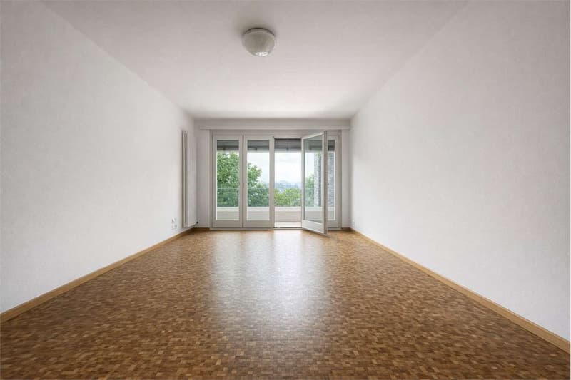 2.5 locali in palazzina ristrutturata a Massagno (5)