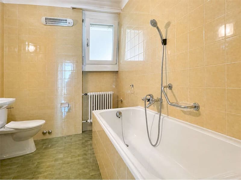 2.5 locali in palazzina ristrutturata a Massagno (6)