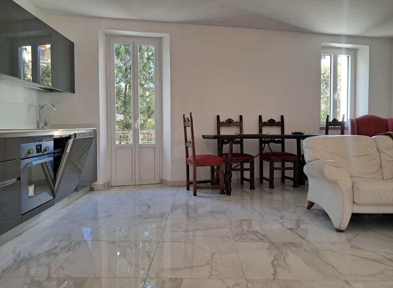 Moderno appartamento arredato di 2.5 locali a due passi dal lago (3)
