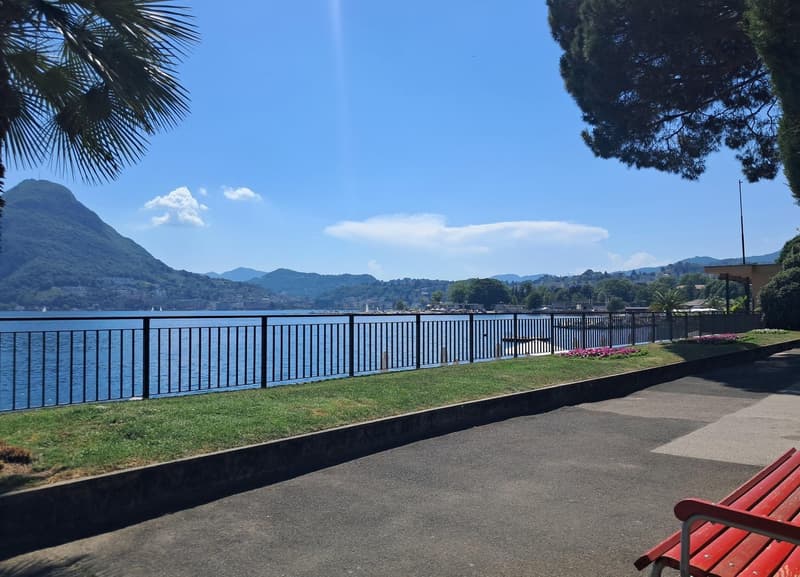 Moderno appartamento arredato di 2.5 locali a due passi dal lago (10)