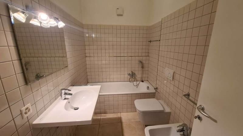 COLDRERIO: SUGGESTIVO APPARTAMENTO 3.5 LOC. NEI VIGNETI (9)