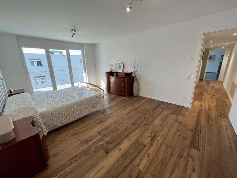 MENDRISIO: 4.5 Room Penthouse Apartment with Panoramic View and High-End Finishes (9)