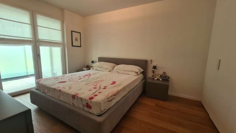 MENDRISIO: GRANDE APPARTEMENT 2.5 PIÈCES AVEC VERANDA ET JARDIN (6)