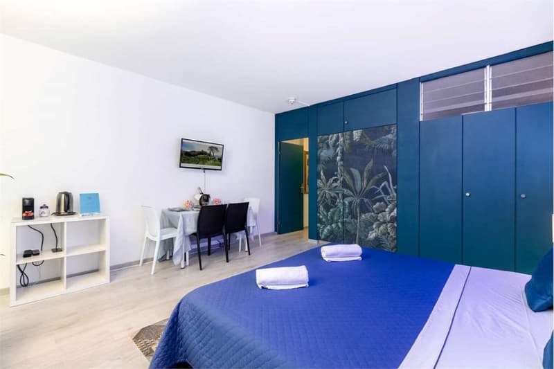 Beautiful 2-room apartment in Bissone (3)