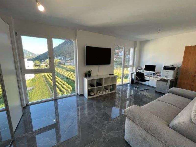 MENDRISIO: 2.5 pièces penthouse de haut standing avec terrasse (4)