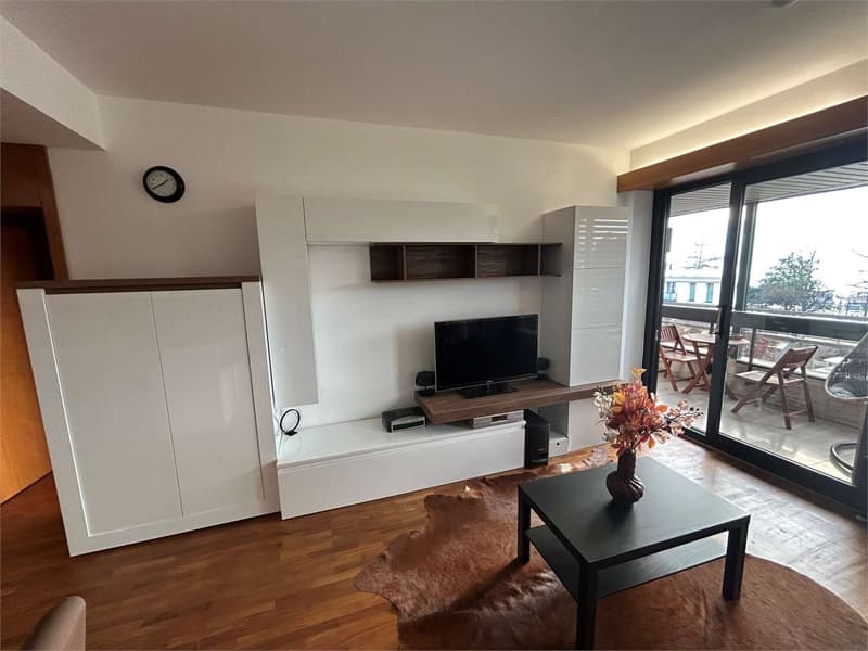 Lugano Cassarate: 2.5 rooms renovated with lake view (2)