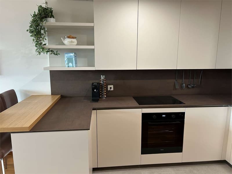 Lugano Cassarate: 2.5 rooms renovated with lake view (4)