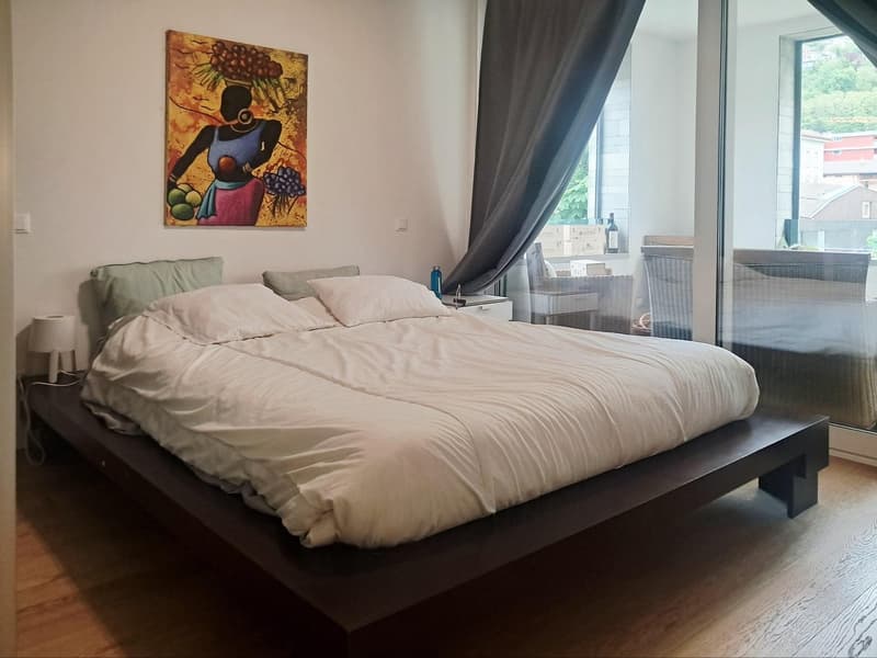 Moderno appartamento arredato di 3,5 locali vicino a lago (7)