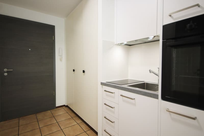 Chiasso: rinnovato monolocale con balcone (2)