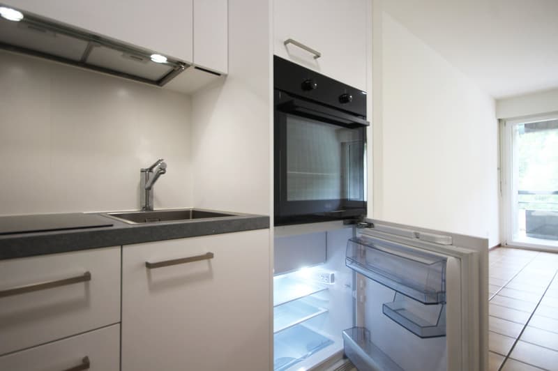 Chiasso: rinnovato monolocale con balcone (3)