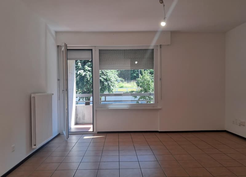 Chiasso: geräumige 5.5-Zimmer-Wohnung mit Balkonen (1)